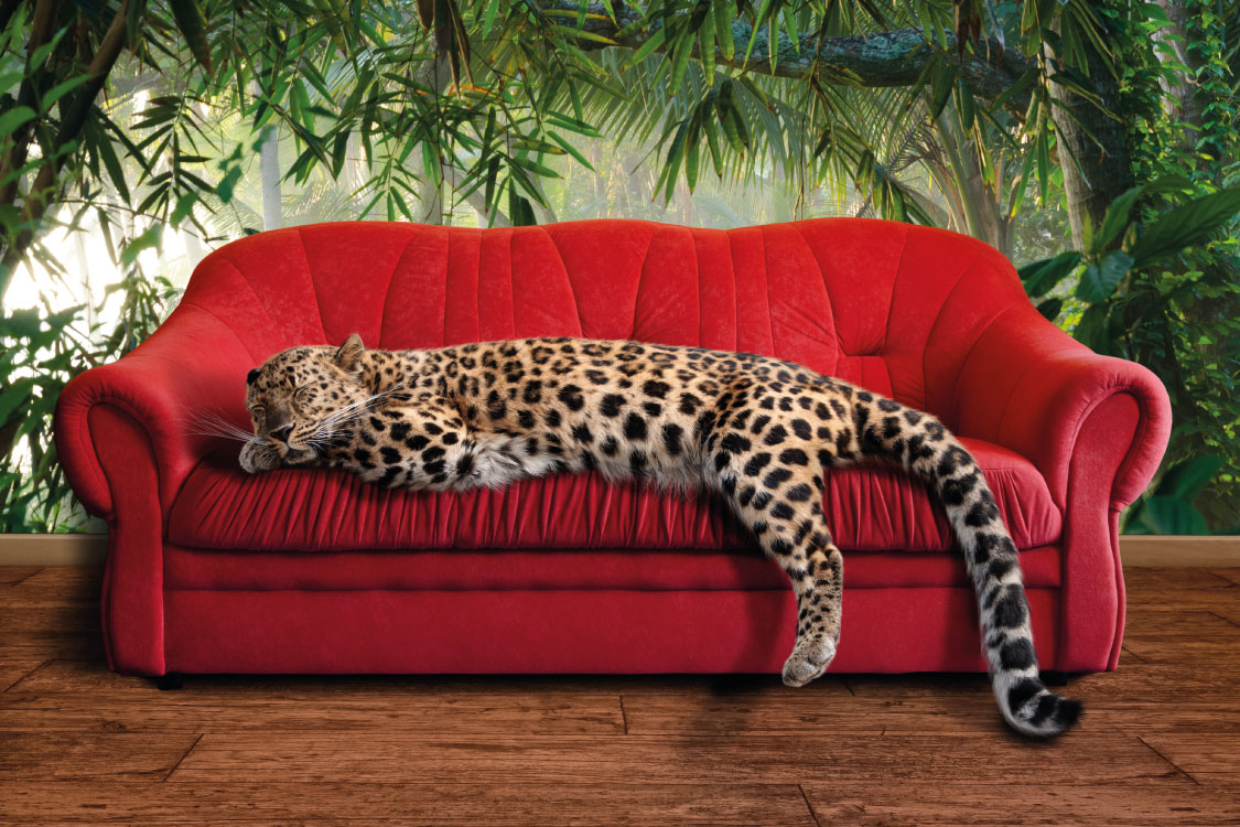 Pop Culture Sofas to Inspire Your Next Purchase