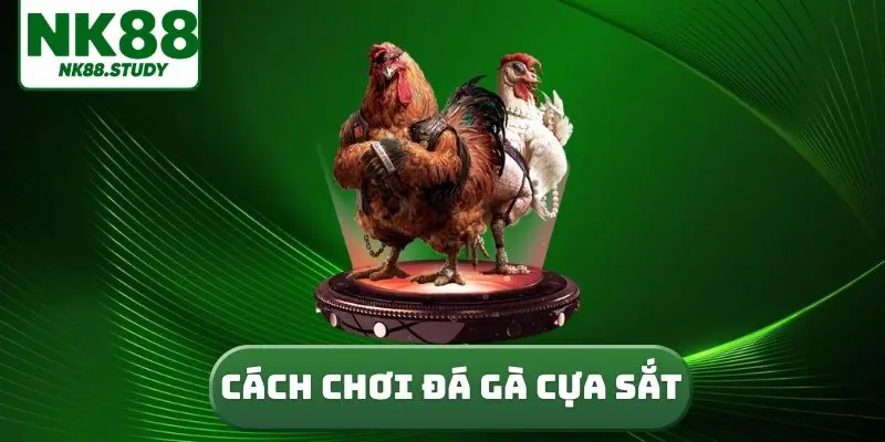 cách chơi đá gà cựa sắt
