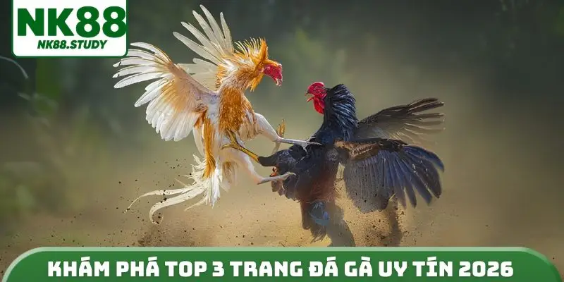 Khám phá top 3 trang đá gà uy tín 2026