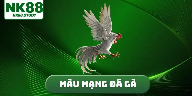 màu mạng đá gà