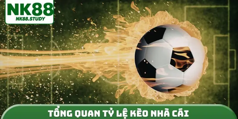 Tổng quan tỷ lệ kèo nhà cái